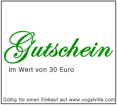 Gutschein 30,-