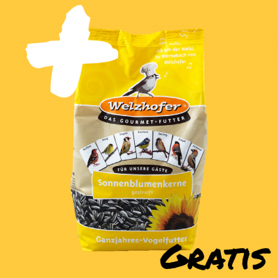 Bonus Welzhofer Sonnenblumenkerne gestreift 1 Kg