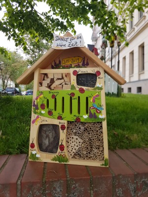 Insektenquartier kiwigrün mit Schmetterlingen und Marienkäfern - personalisiert