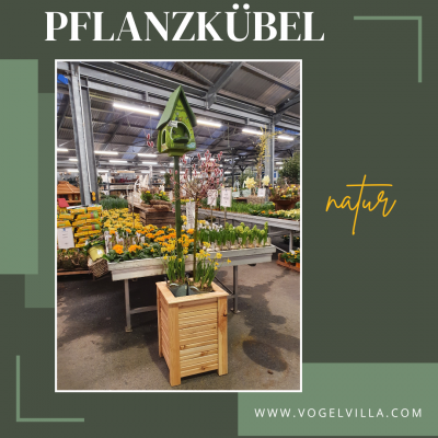 Pflanzkübel Display - Single - Natur