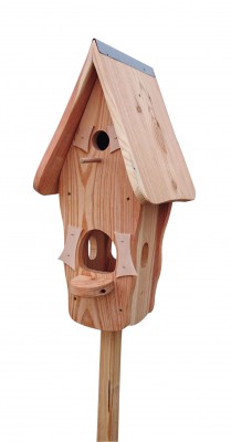 Kombiniertes Vogelhaus - Minivilla 1 Lärche Natur